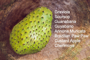 Is soursop and graviola the same thing?